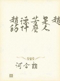 赵德芳是赵匡胤的什么人