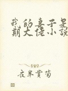 我的妻子是大乘期大佬小说完整版大结局