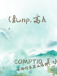(乱np,高h,
