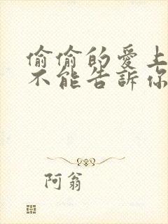 偷偷的爱上你却不能告诉你什么歌