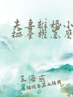 夫妻离婚小孩的抚养权怎么判