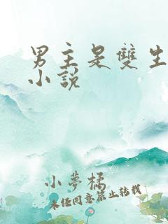 男主是双生子的小说