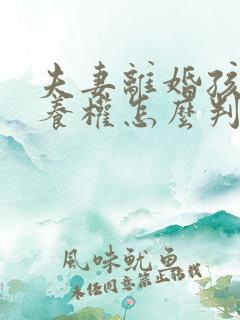 夫妻离婚孩子抚养权怎么判