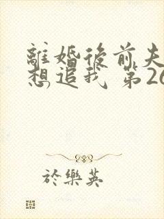 离婚后前夫总是想追我 第260章