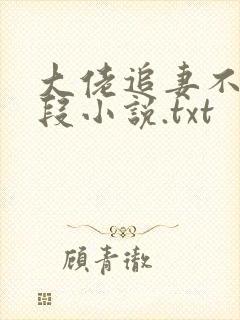 大佬追妻不择手段小说.txt