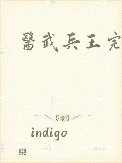 医武兵王完结篇