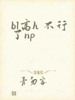 bl高h 不行了np