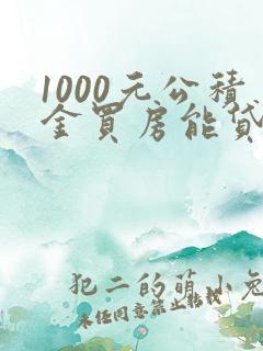 1000元公积金买房能贷多少钱