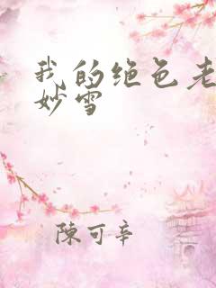 我的绝色老板林妙雪