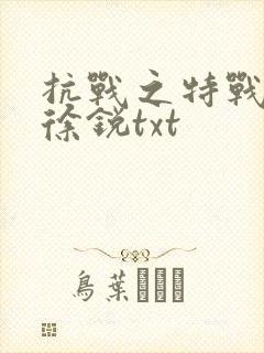 抗战之特战兵王徐锐txt