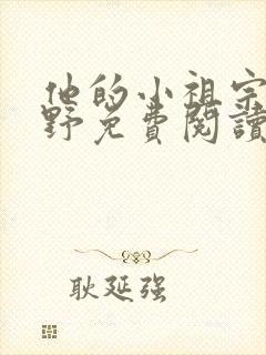 他的小祖宗甜又野免费阅读正版