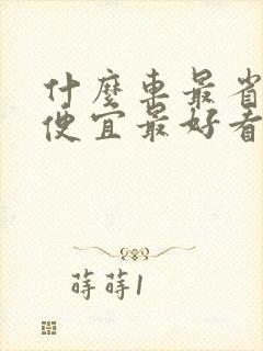 什么车最省油最便宜最好看