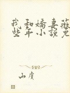 我和娇妻薇薇那些年小说免费阅读