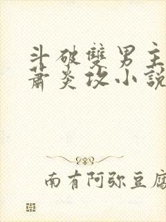 斗破双男主主角萧炎攻小说