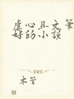 虐心且文笔超级好的小说