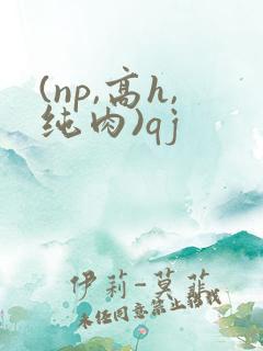 (np,高h,纯肉)qj