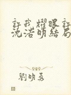 许我耀眼许妍和沈浩明结局