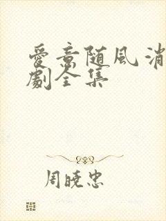 爱意随风消逝短剧全集