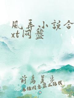 风弄小说合集txt网盘