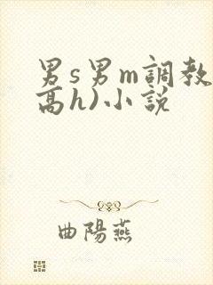 男s男m调教(高h)小说