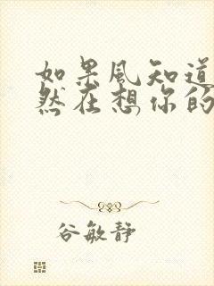 如果风知道我依然在想你的歌名