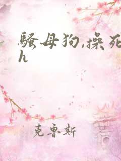 骚母狗,操死你h