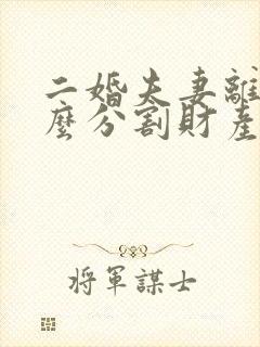 二婚夫妻离婚怎么分割财产