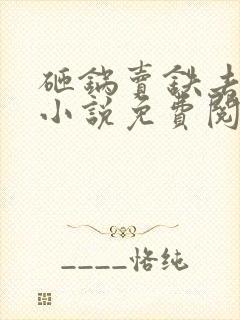 砸锅卖铁去上学小说免费阅读