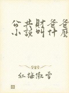 公共财爸爸原著小说叫什么名字