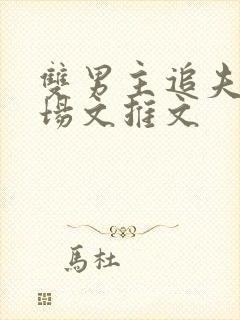 双男主追夫火葬场文推文