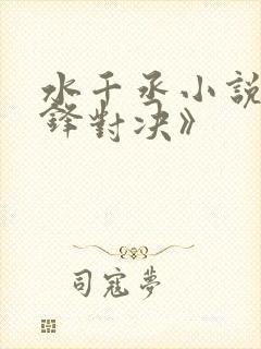 水千丞小说《针锋对决》