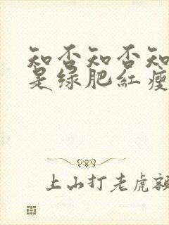 知否知否知否应是绿肥红瘦林噙霜结局