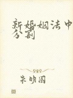 新婚姻法中财产分割