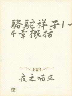 骆驼祥子1～24章概括