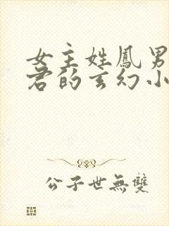 女主姓凤男主姓君的玄幻小说