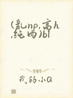 (乱np,高h,纯肉)bl