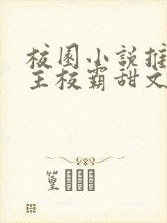 校园小说推荐男主校霸甜文