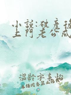 小说:破产后,上门老公成了我的金主