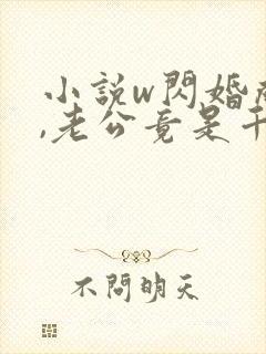 小说w闪婚成宠,老公竟是千亿大佬》