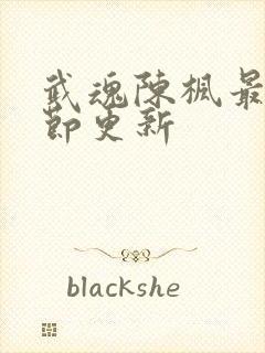 武魂陈枫最新章节更新