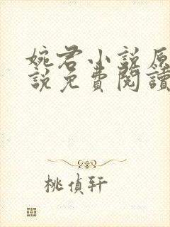 婉君小说原著小说免费阅读