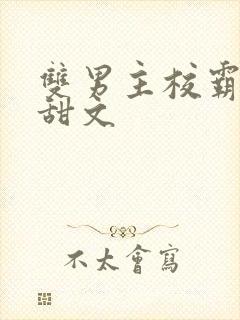 双男主校霸校园甜文