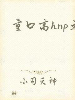 重口高hnp文