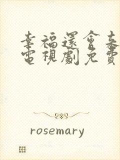 幸福还会来敲门电视剧免费观看全集