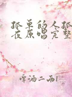 孤单的人孤单的夜原唱完整版