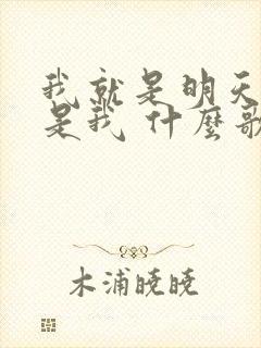 我就是明天我就是我 什么歌