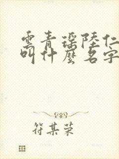 云青瑶陆仁小说叫什么名字