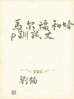 马尔福和哈利cp训诫文