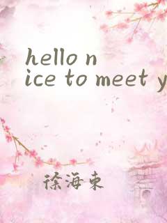 hello nice to meet you翻译
