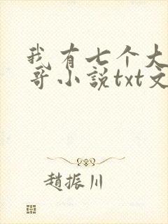我有七个大佬哥哥小说txt文本下载